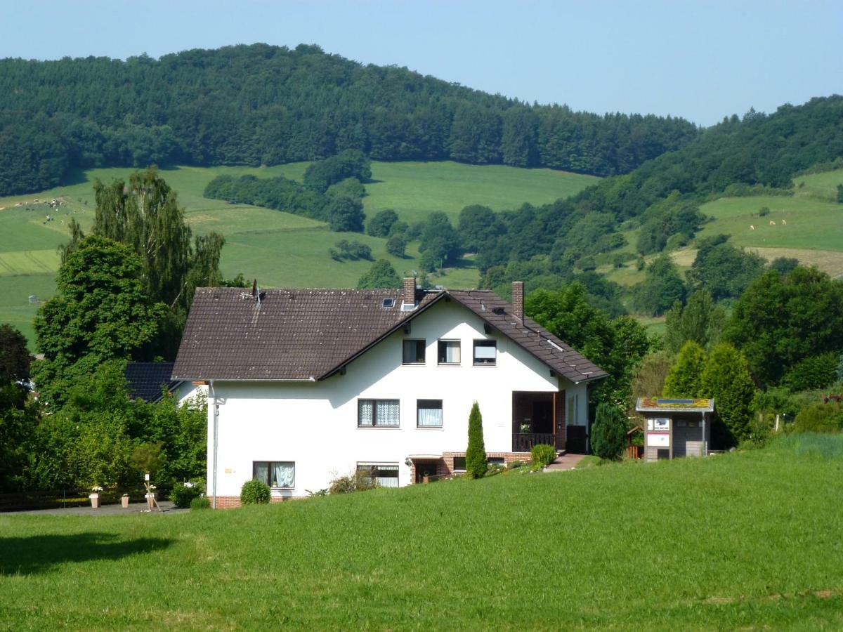 Ferienwohnungen Finke Frankenau Exterior foto