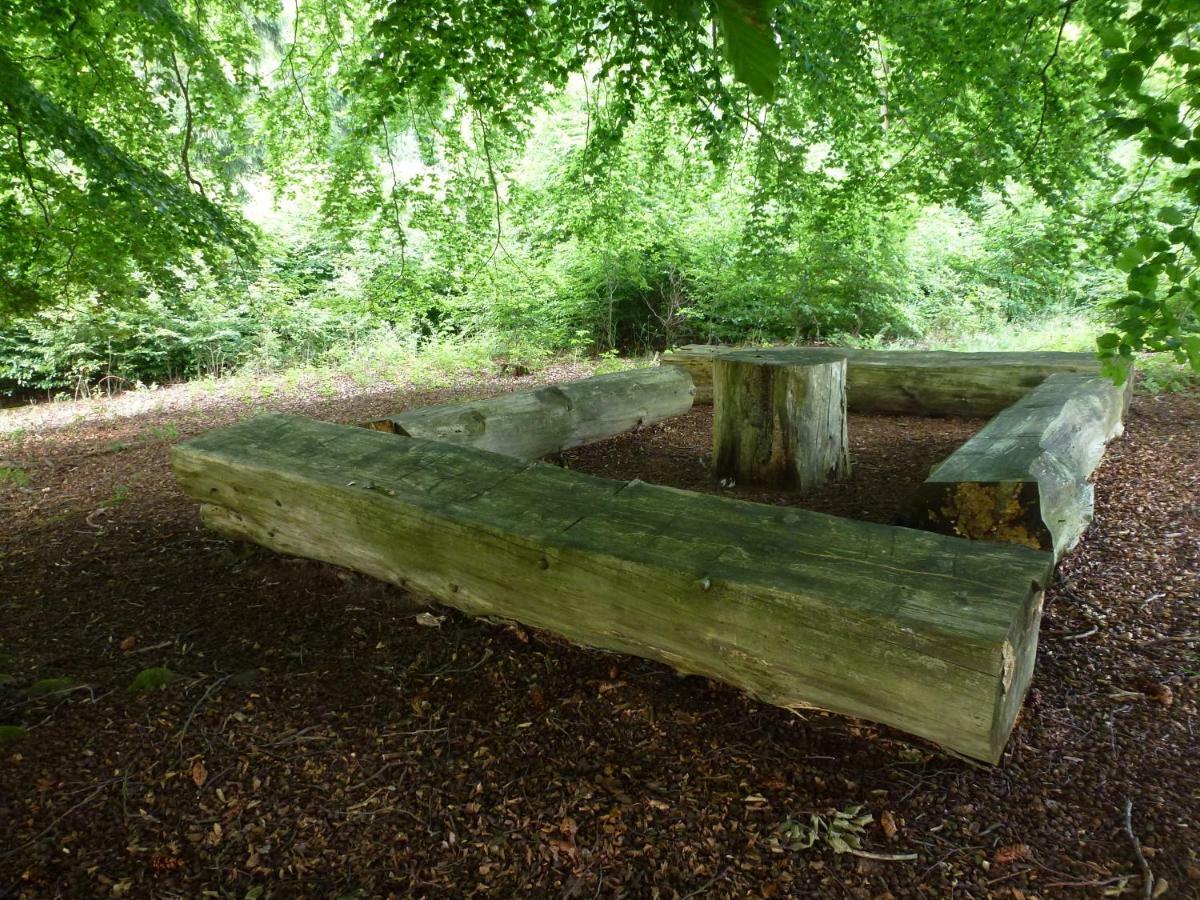 Ferienwohnungen Finke Frankenau Exterior foto