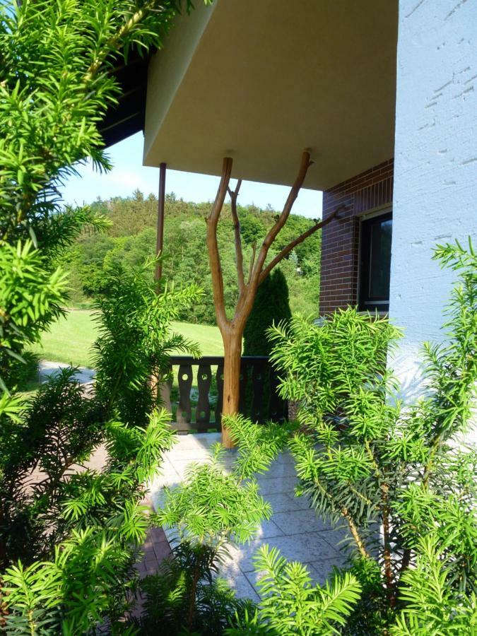 Ferienwohnungen Finke Frankenau Exterior foto