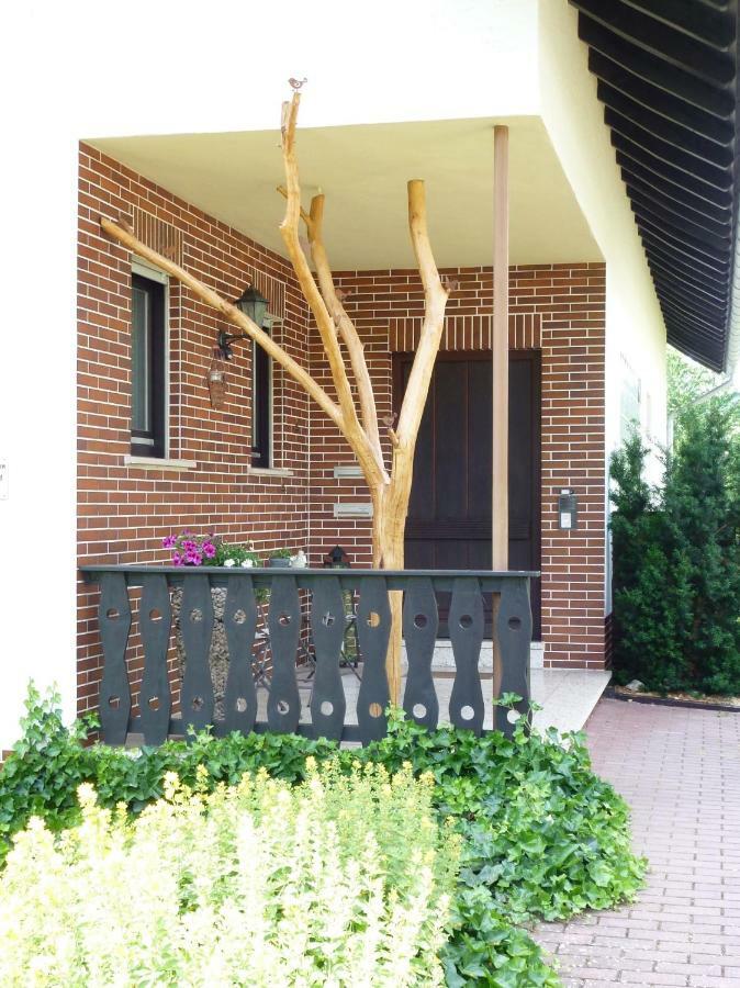 Ferienwohnungen Finke Frankenau Exterior foto